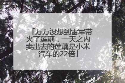 万万没想到雷军带火了莲藕，一天之内卖出去的莲藕是小米汽车的22倍