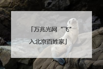 万兆光网“飞”入北京百姓家