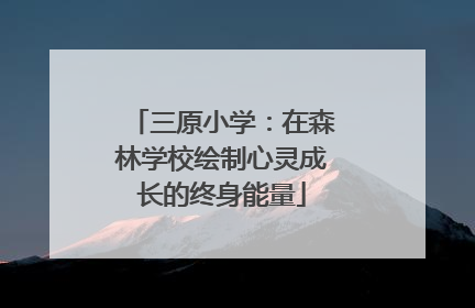 三原小学：在森林学校绘制心灵成长的终身能量