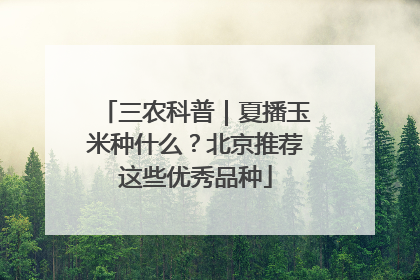 三农科普｜夏播玉米种什么？北京推荐这些优秀品种