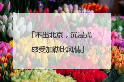 不出北京，沉浸式感受加勒比风情