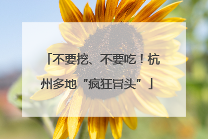 不要挖、不要吃！杭州多地“疯狂冒头”