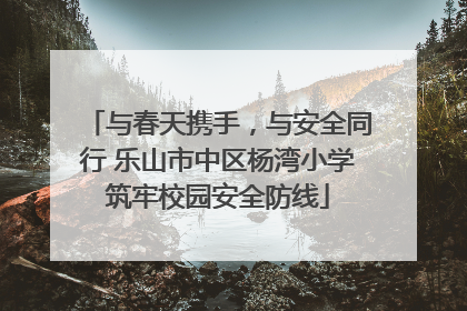 与春天携手，与安全同行 乐山市中区杨湾小学筑牢校园安全防线
