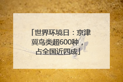 世界环境日：京津冀鸟类超600种，占全国近四成