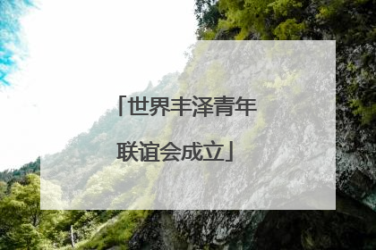 世界丰泽青年联谊会成立