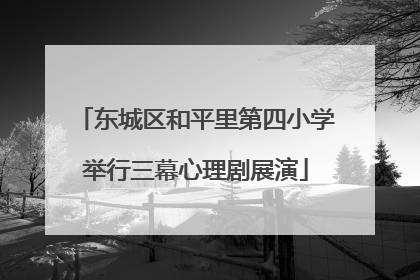 东城区和平里第四小学举行三幕心理剧展演