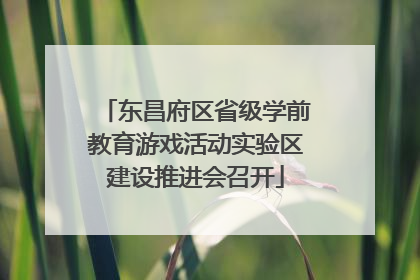 东昌府区省级学前教育游戏活动实验区建设推进会召开