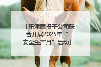 东津国投子公司联合开展2025年“安全生产月”活动