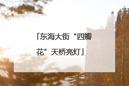 东海大街“四瓣花”天桥亮灯