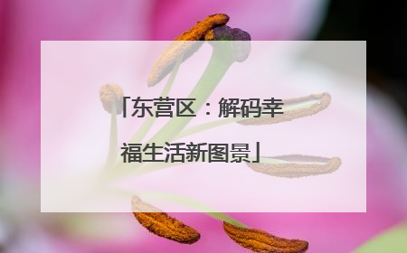 东营区：解码幸福生活新图景
