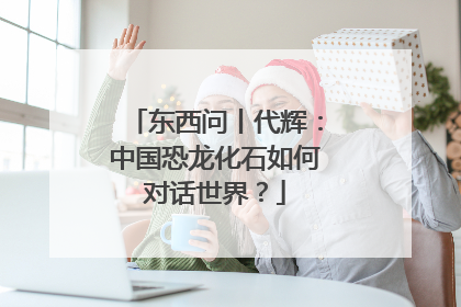 东西问丨代辉：中国恐龙化石如何对话世界？