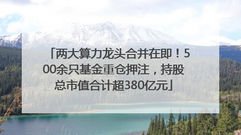 两大算力龙头合并在即！500余只基金重仓押注，持股总市值合计超380亿元