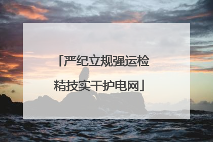 严纪立规强运检 精技实干护电网