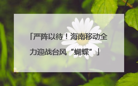 严阵以待！海南移动全力迎战台风“蝴蝶”
