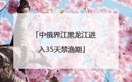 中俄界江黑龙江进入35天禁渔期