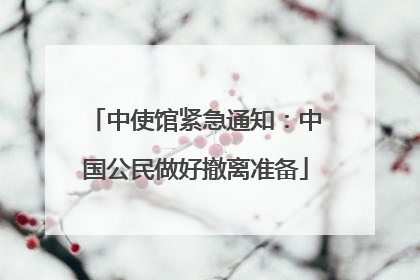 中使馆紧急通知：中国公民做好撤离准备
