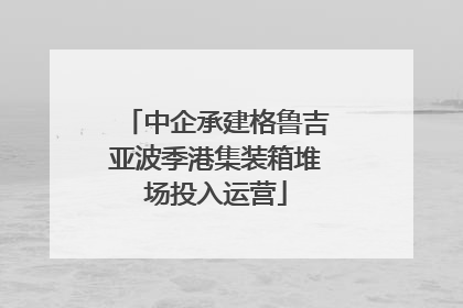中企承建格鲁吉亚波季港集装箱堆场投入运营