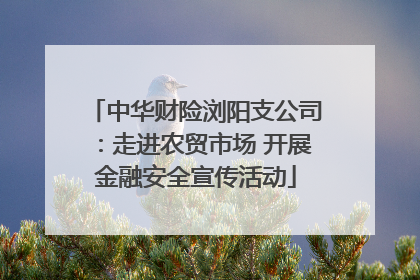中华财险浏阳支公司：走进农贸市场 开展金融安全宣传活动