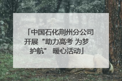 中国石化荆州分公司开展“助力高考 为梦护航” 暖心活动