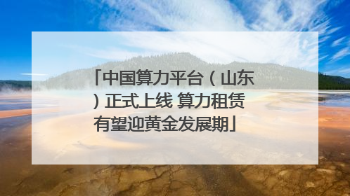 中国算力平台（山东）正式上线 算力租赁有望迎黄金发展期