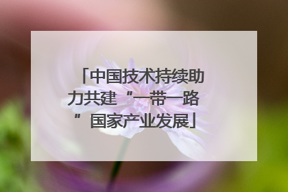 中国技术持续助力共建“一带一路”国家产业发展