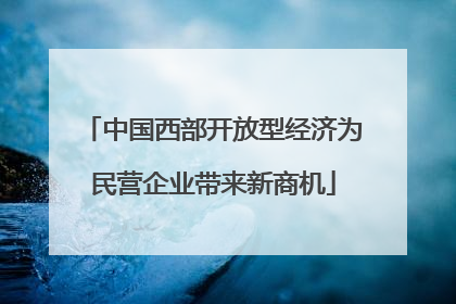 中国西部开放型经济为民营企业带来新商机