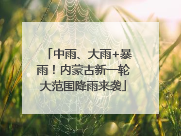 中雨、大雨+暴雨！内蒙古新一轮大范围降雨来袭