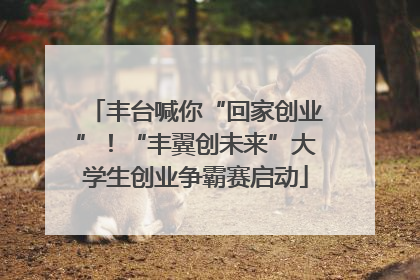 丰台喊你“回家创业”！“丰翼创未来”大学生创业争霸赛启动