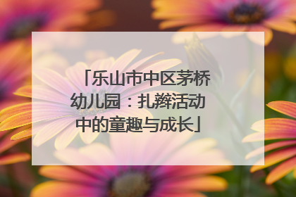 乐山市中区茅桥幼儿园：扎辫活动中的童趣与成长