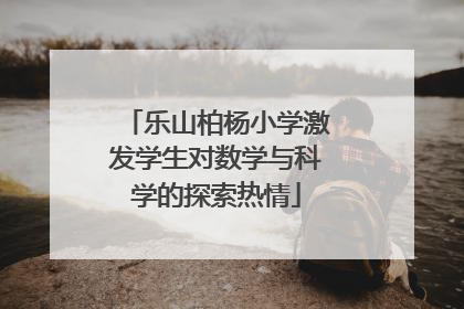 乐山柏杨小学激发学生对数学与科学的探索热情