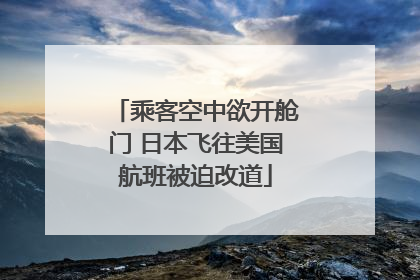 乘客空中欲开舱门 日本飞往美国航班被迫改道