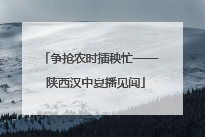 争抢农时插秧忙——陕西汉中夏播见闻