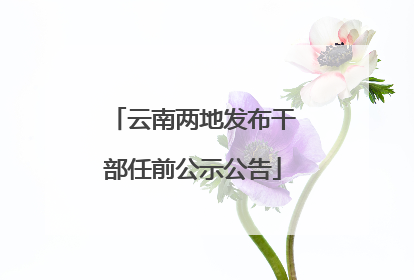 云南两地发布干部任前公示公告