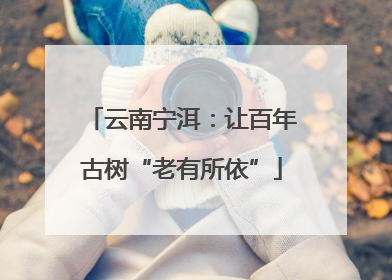 云南宁洱：让百年古树“老有所依”