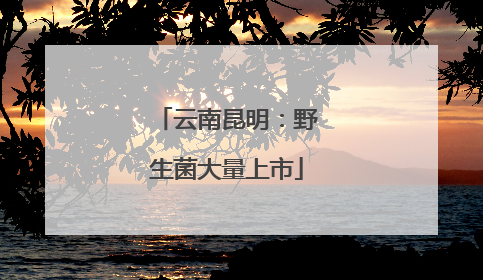 云南昆明：野生菌大量上市