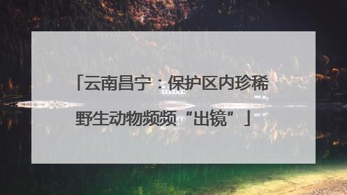 云南昌宁：保护区内珍稀野生动物频频“出镜”