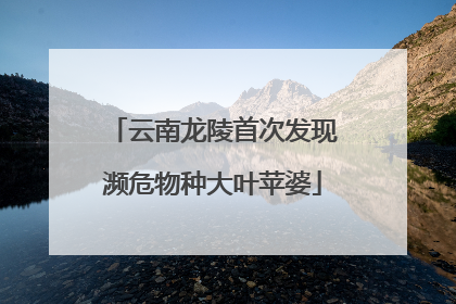 云南龙陵首次发现濒危物种大叶苹婆