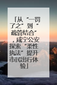 从“一罚了之”到“疏管结合”，咸宁公安探索“柔性执法”提升市民出行体验