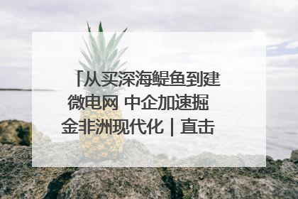 从买深海鳀鱼到建微电网 中企加速掘金非洲现代化｜直击中非经贸博览会