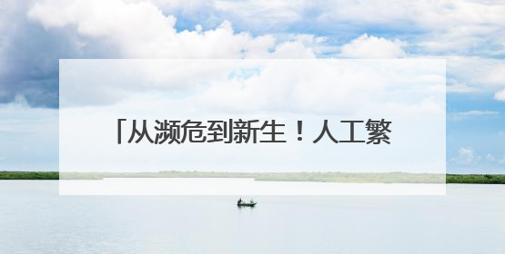 从濒危到新生！人工繁育+野外保护让中国绿孔雀走上种群逆袭之路