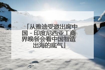 从雅迪受邀出席中国－印度尼西亚工商界晚餐会看中国智造出海的底气