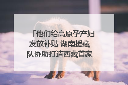 他们给高原孕产妇发放补贴 湖南援藏队协助打造西藏首家高原产儿协同中心