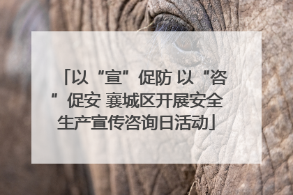 以“宣”促防 以“咨”促安 襄城区开展安全生产宣传咨询日活动