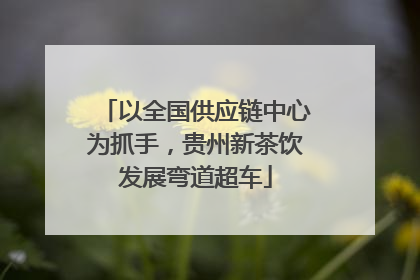 以全国供应链中心为抓手，贵州新茶饮发展弯道超车