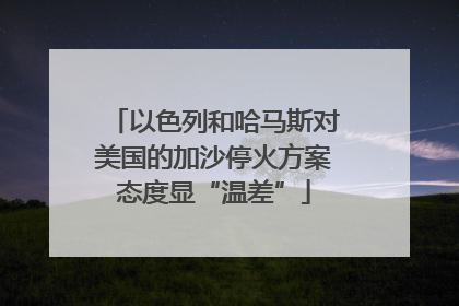 以色列和哈马斯对美国的加沙停火方案态度显“温差”