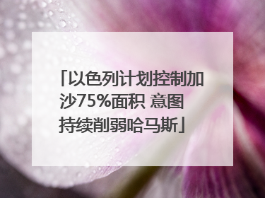 以色列计划控制加沙75%面积 意图持续削弱哈马斯