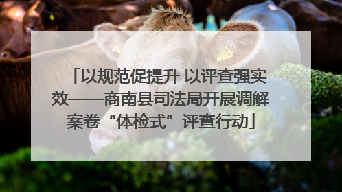 以规范促提升 以评查强实效——商南县司法局开展调解案卷“体检式”评查行动