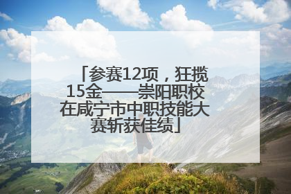 参赛12项，狂揽15金——崇阳职校在咸宁市中职技能大赛斩获佳绩