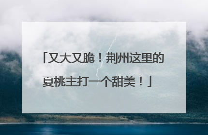 又大又脆！荆州这里的夏桃主打一个甜美！