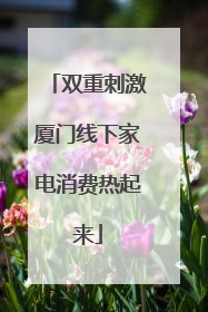 双重刺激厦门线下家电消费热起来